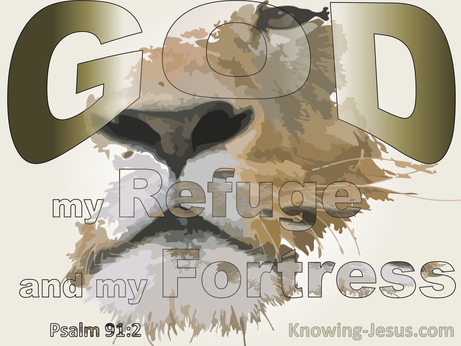 What Does Psalm 91 2 Mean what-does-psalm-91-2-mean